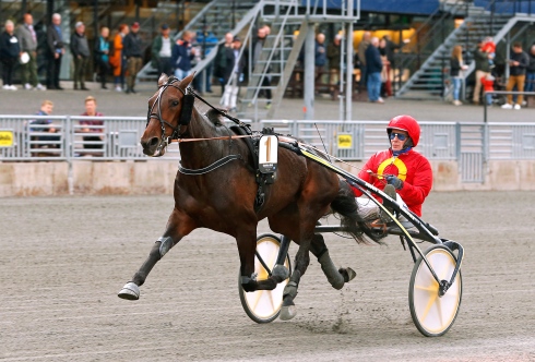 Stefan Melander tror mycket på Ganga Bae i V75-2. Foto av Maria Holmén TR Bild